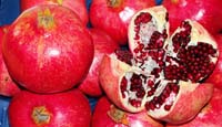Granatapfel Frucht