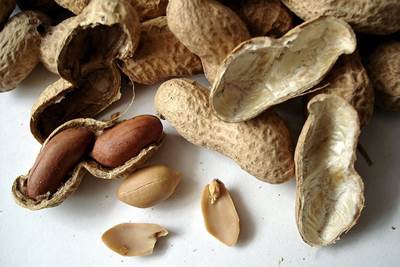 Arachis hypogaea, Quelle: Pixabay.com Erdnuss (Arachis hypogaea)